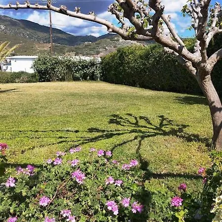Seaside Serenity Tatil Evi *